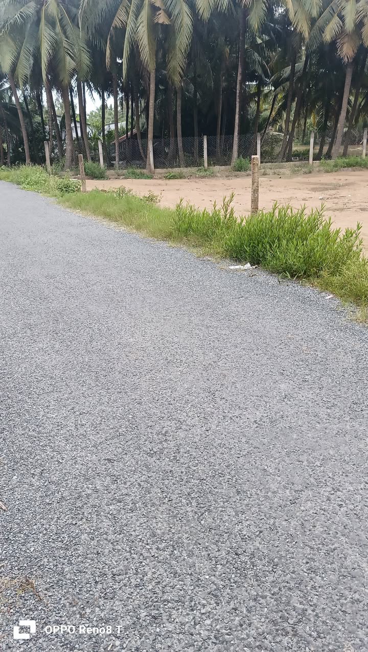 Đất nền xã Bình Ninh, Chợ Gạo 290m² giá chỉ 750 triệu - Đầu tư sinh lời ngay!