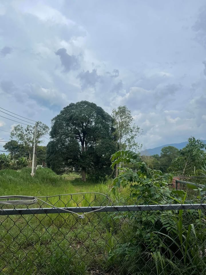 Đất nền Bảo Vinh Long Khánh 175m² giá 750 triệu - Cơ hội đầu tư hiếm có!