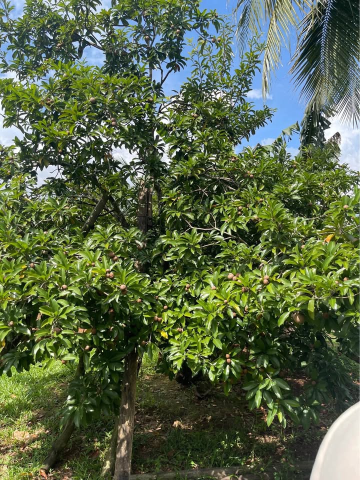 Đất 2 mặt tiền Bảo Vinh, Long Khánh 175m² giá 700 triệu - Cơ hội không thể bỏ lỡ!