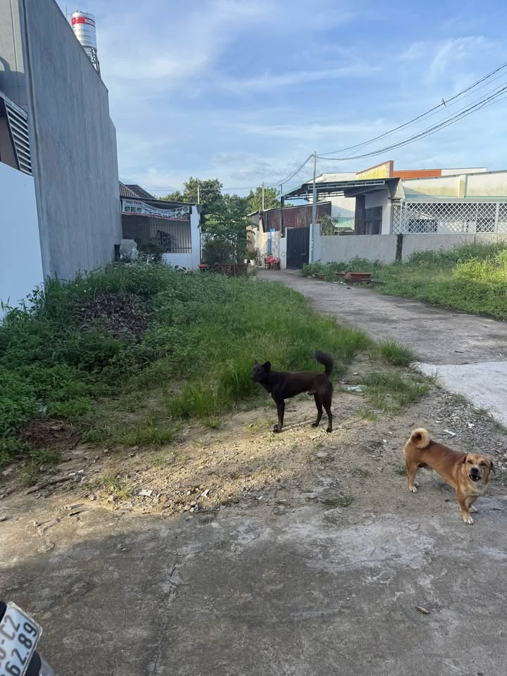 Đất nền 2 mặt tiền Bảo Vinh, Long Khánh 175m² giá chỉ 650 triệu - Đầu tư sinh lời ngay!