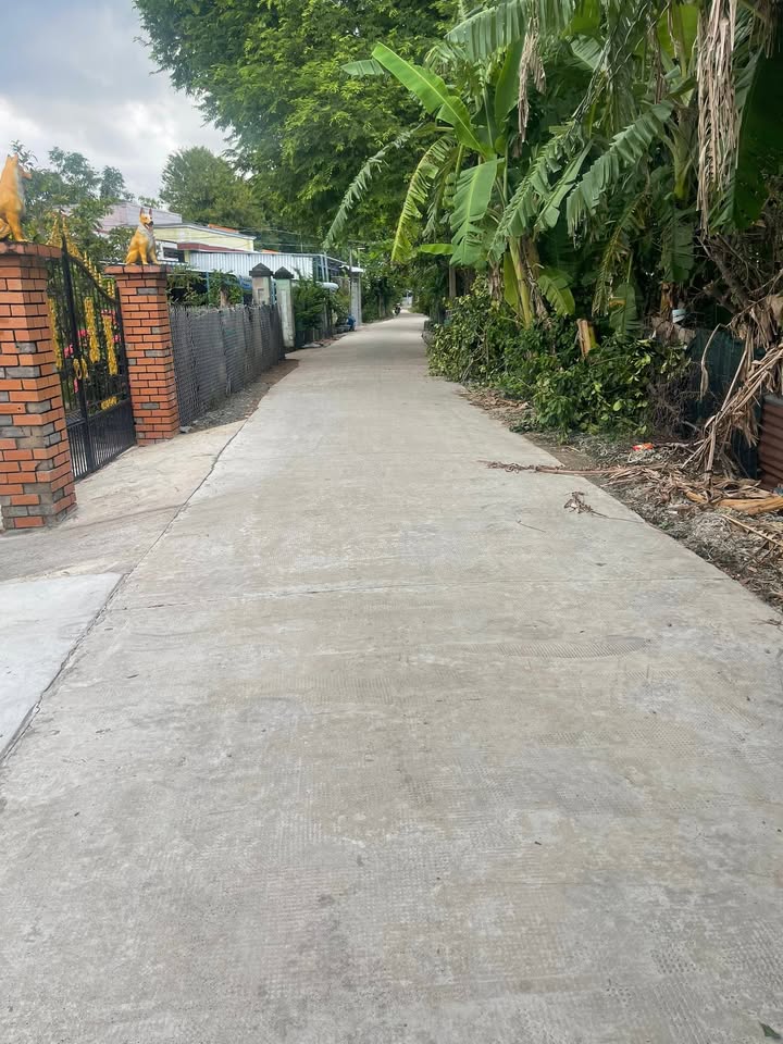 Đất nền Thị Trấn Bình Đại 1632m² giá 13.056 tỷ - Nhanh tay sở hữu!