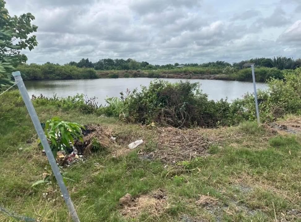 Đất ở xã Đại Hoà Lộc, huyện Bình Đại, 2.648m² chỉ 500 triệu - Cơ hội đầu tư hiếm có!