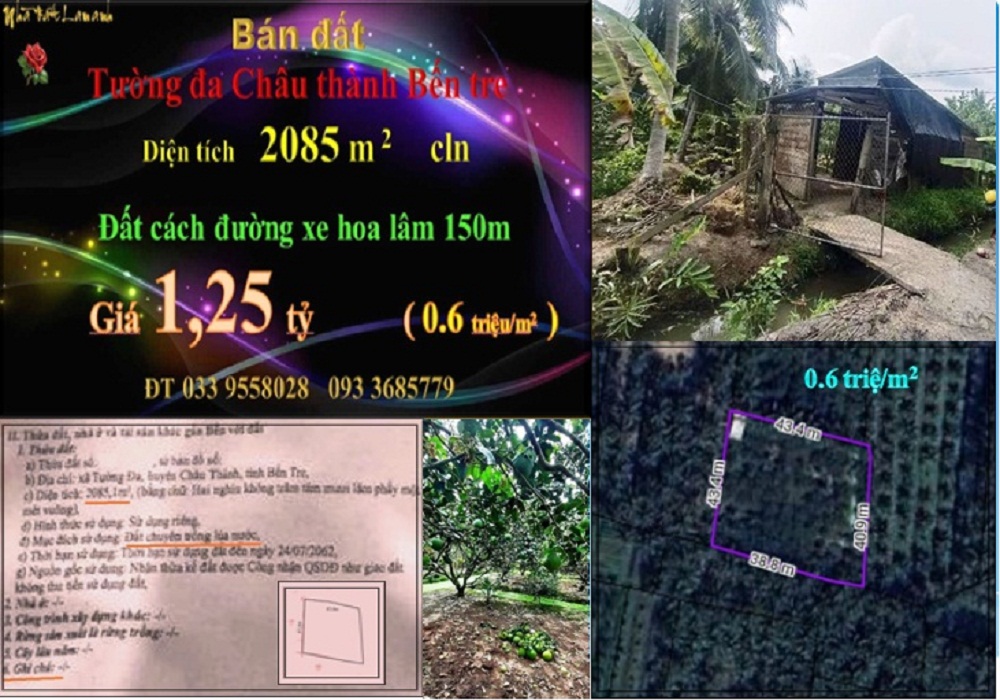 Đất vườn bưởi xã Tường Đa, Châu Thành, Bến Tre 2085m² giá 1.25 tỷ - Cơ hội đầu tư tuyệt vời!