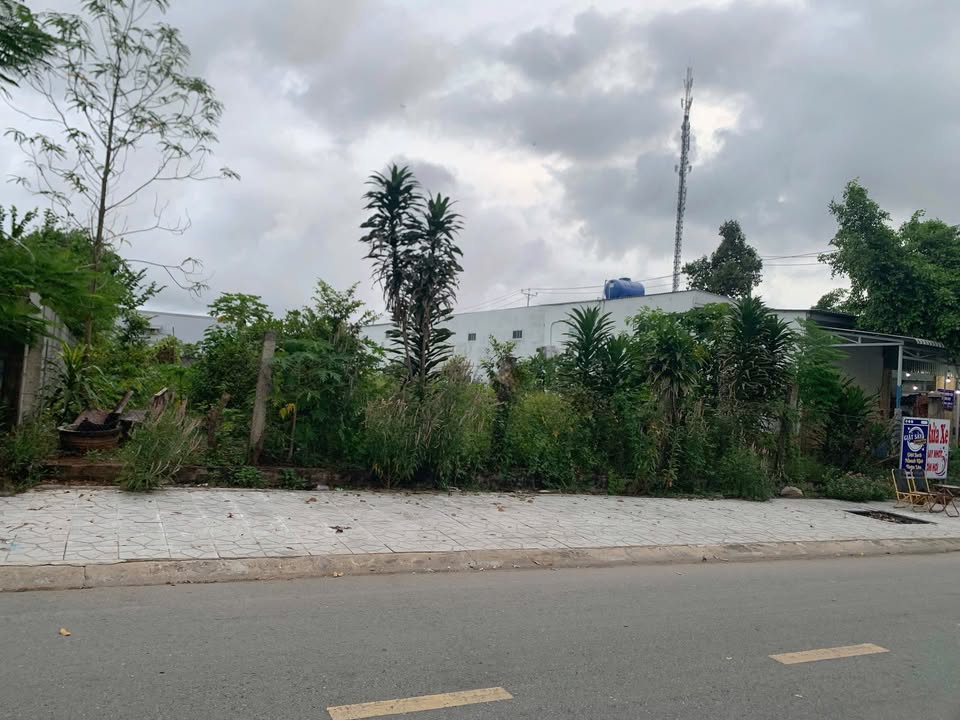 Đất nền mặt tiền đường Lê Hoàng Chiếu, Bình Đại 730m² giá 480 triệu - Đầu tư sinh lời ngay!