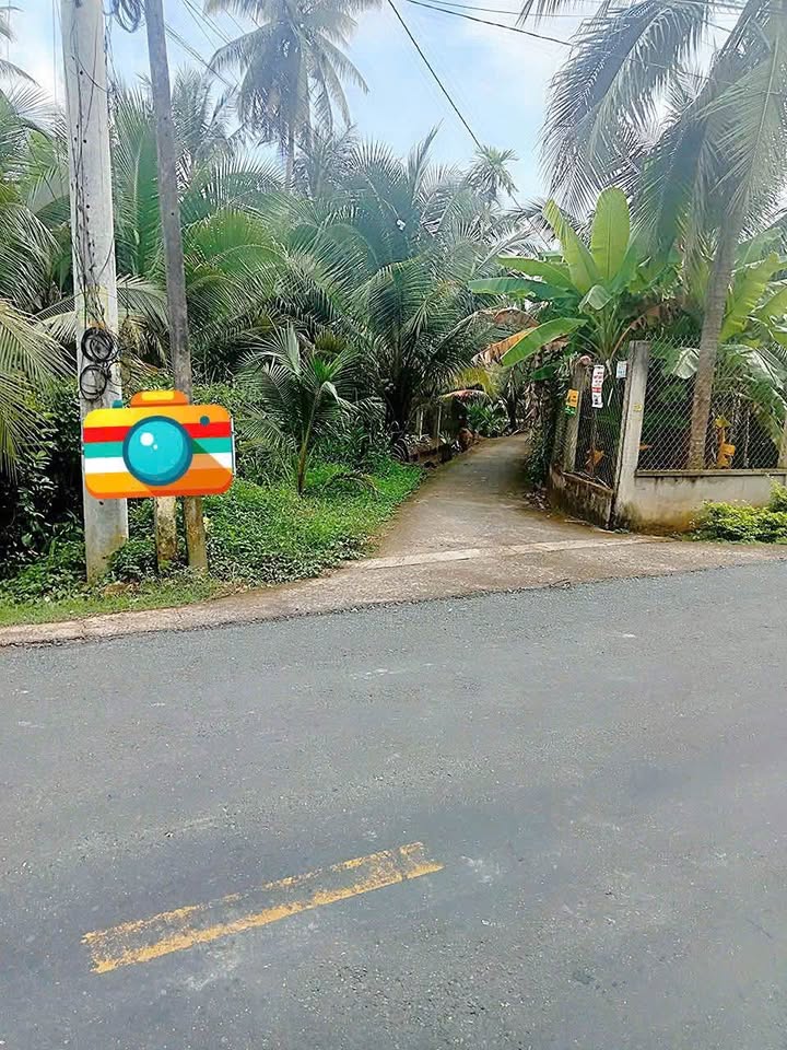 Đất nền Phú An Hòa Châu Thành 123,6m² giá 470 triệu - Cơ hội đầu tư hấp dẫn!