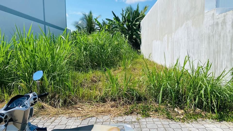 Đất nền thổ cư xã Phú Nhuận, TP Bến Tre 110m² giá 1.15 tỷ - Sổ hồng chính chủ!