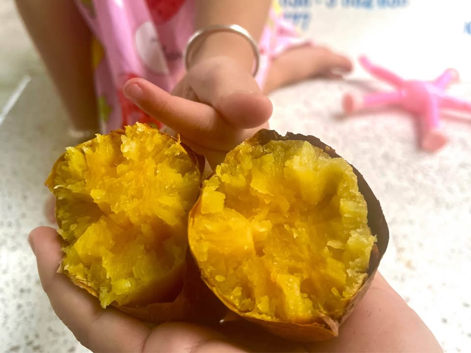 Đất nền Tân Xuân, Ba Tri 6000m² giá chỉ 220 triệu - Cơ hội đầu tư tuyệt vời!