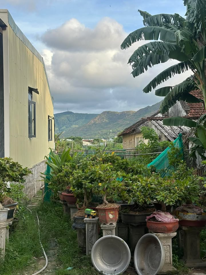 Đất nền Nhơn Phú Quy Nhơn 140m² giá 1.45 tỷ - Đầu tư sinh lời ngay!