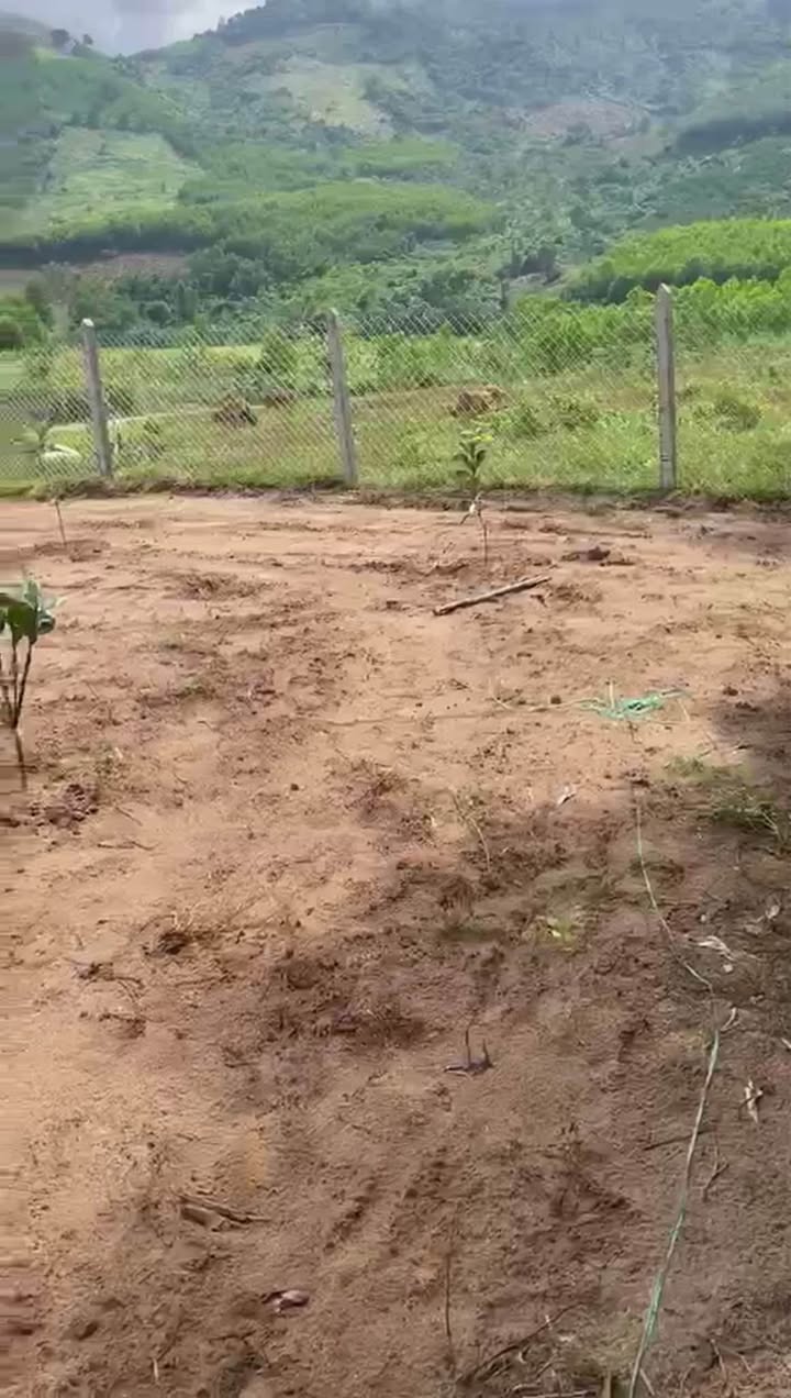 Đất nền Khánh Đông 591m² giá 270 triệu - Đường ô tô vào tận nơi!