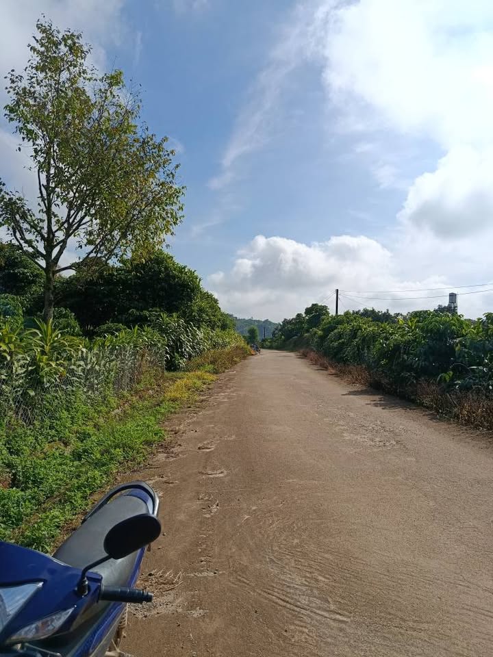 Đất nền Lộc Thành Bảo Lộc 9000m² giá 9 tỷ - Đầu tư sinh lời hấp dẫn!