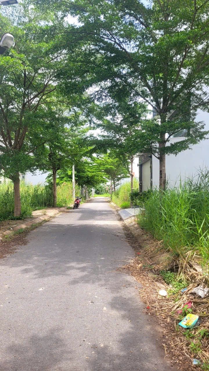 Đất nền Nhà Bè 125m² giá 4.5 tỷ - Hỗ trợ vay ngân hàng