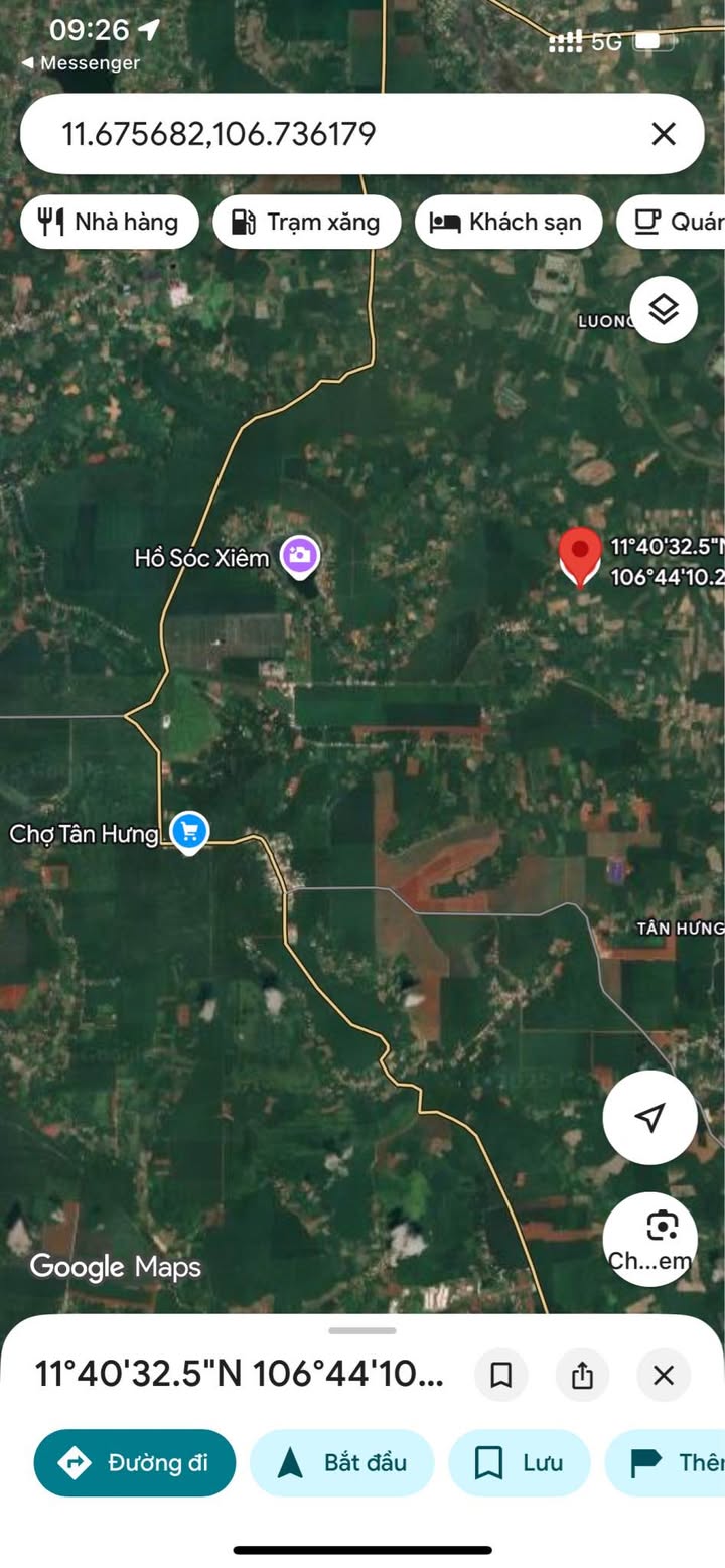 Đất Farm 40.000m² tại Tân Hưng, Hớn Quản - Giá chỉ 1.2 tỷ, cơ hội đầu tư tuyệt vời!