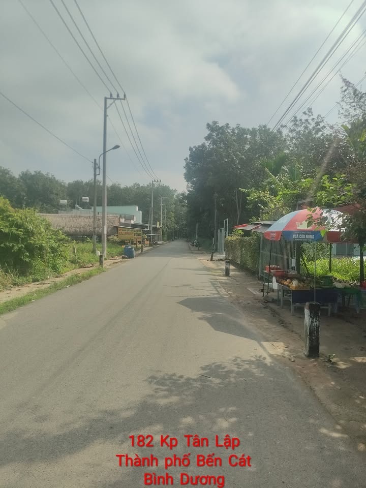 Đất thổ cư 300m² tại An Điền, Bến Cát, Bình Dương - Mặt tiền đường Kinh Doanh, Giá chỉ 2.1 tỷ!