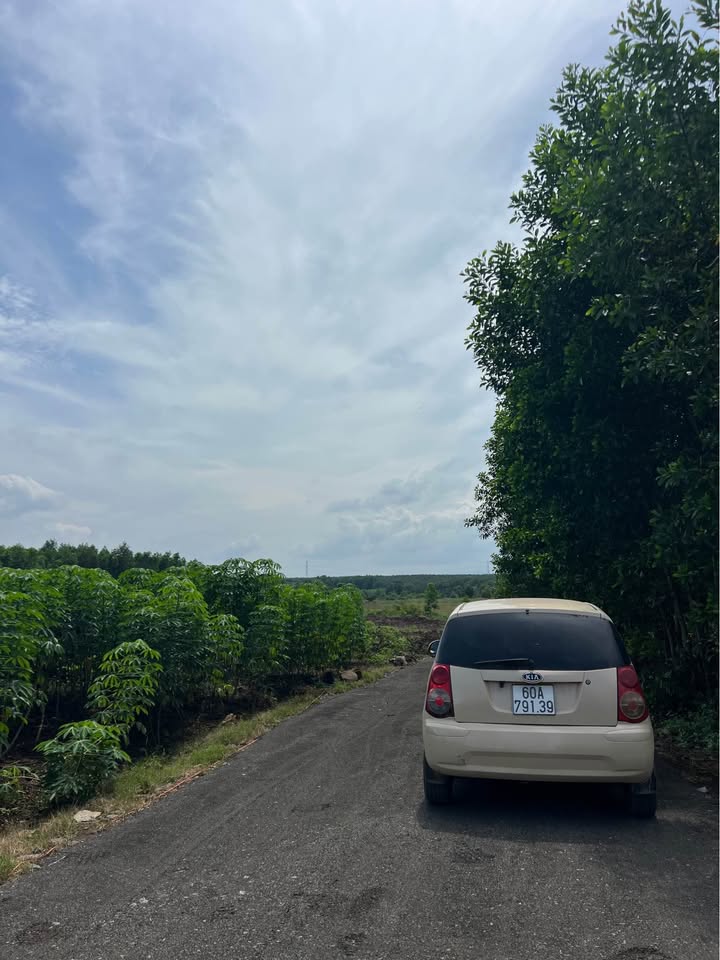 Đất nền Bàu Cạn, Long Thành 150m² giá 1.1 tỷ - Đường nhựa, gần UB xã