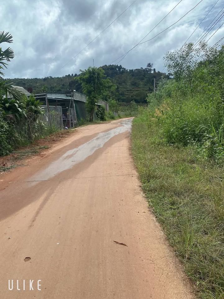 Đất nông nghiệp Nam Rạ, Đắk Nông 810m² giá 180 triệu - Sổ đỏ chính chủ, nhanh tay sở hữu!