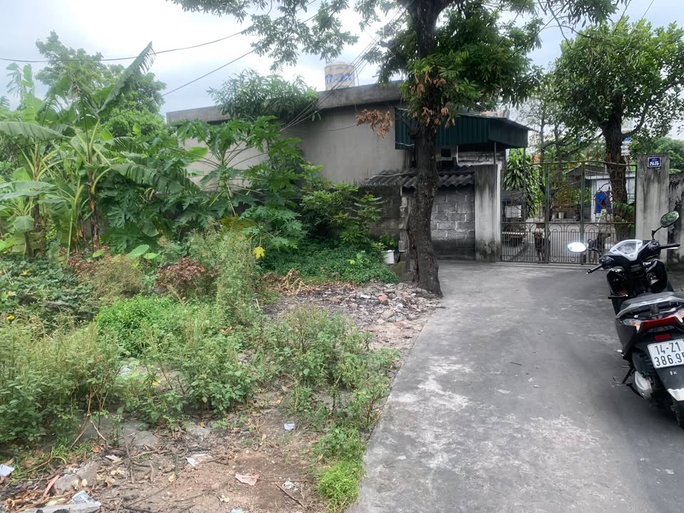 Đất nền Mạo Khê, Đông Triều 102,8m² giá 700 triệu - Khu dân cư sầm uất!