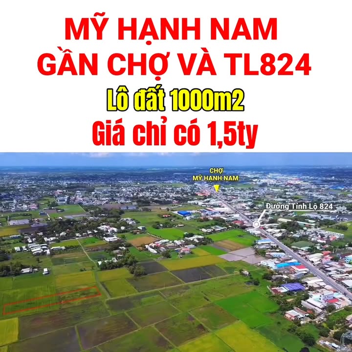 Đất lúa 1000m² giá 1,5 tỷ - Sát chợ Mỹ Hạnh Nam, cơ hội đầu tư tuyệt vời!