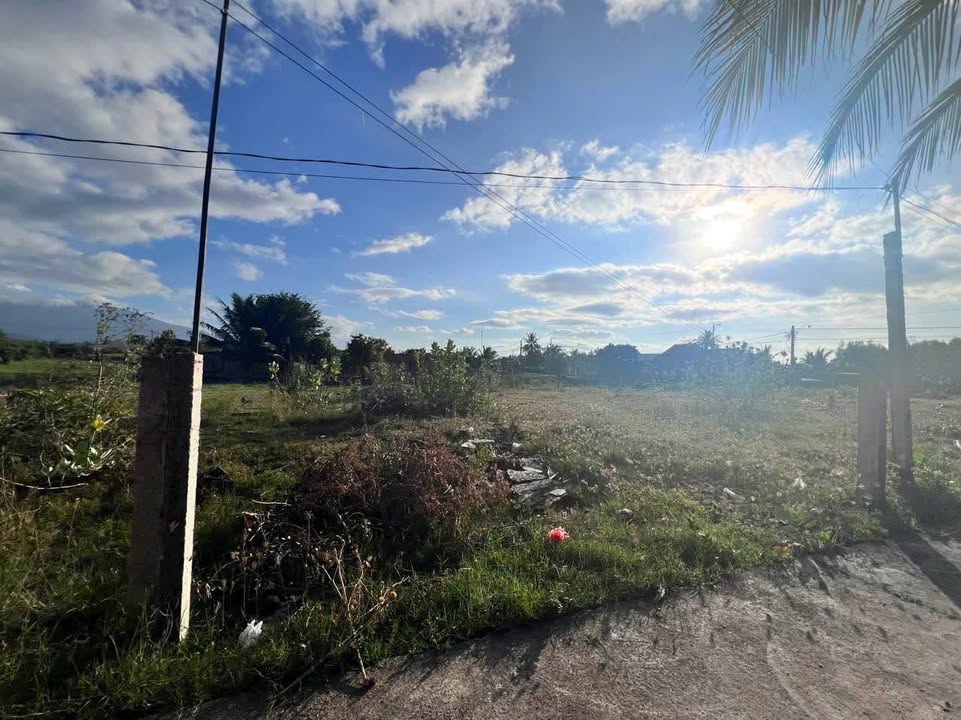 Đất thổ cư 131m² Tân Mỹ, Ninh Xuân, Khánh Hòa - Sổ hồng riêng, giá chỉ 420 triệu!