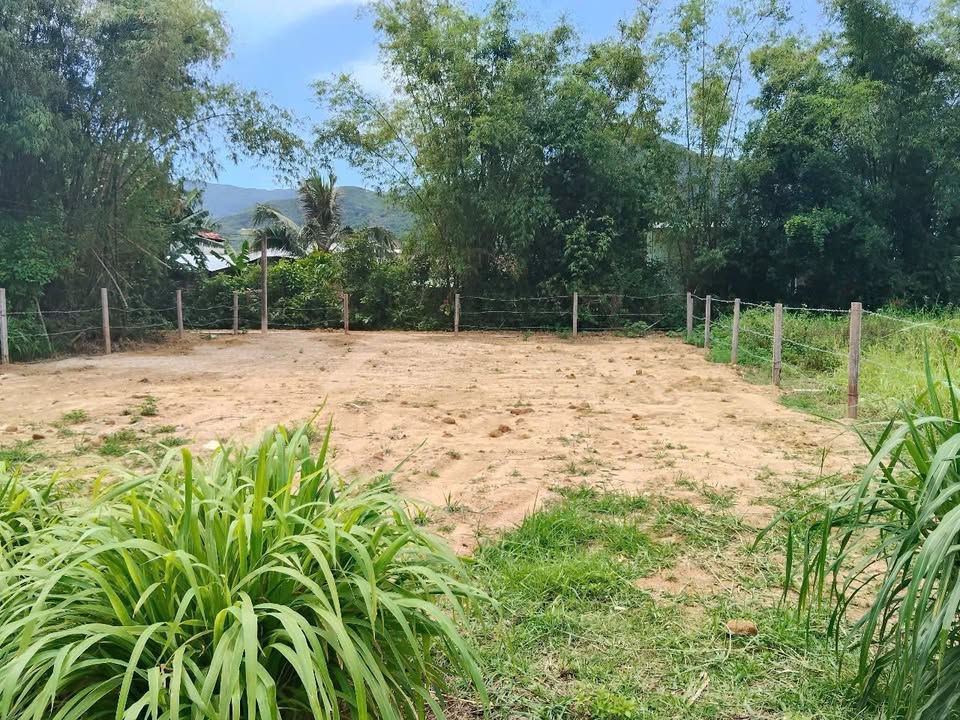 Đất nền Phù Cát 400m² giá chỉ 3xx triệu - Sổ hồng chính chủ!