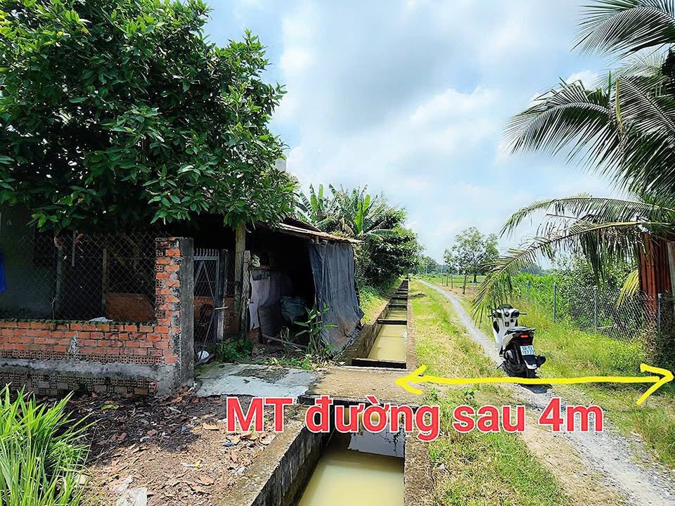 Nhà mặt tiền Nguyễn Thị Rành, Củ Chi, 259m² giá 4.6 tỷ - Kinh doanh sầm uất!