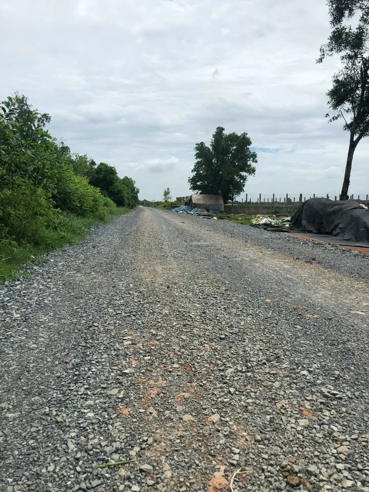 Đất nền 2,4 hecta đường Nguyễn Văn Bứa, Hóc Môn chỉ 3,5 tỷ - Cơ hội đầu tư vàng!