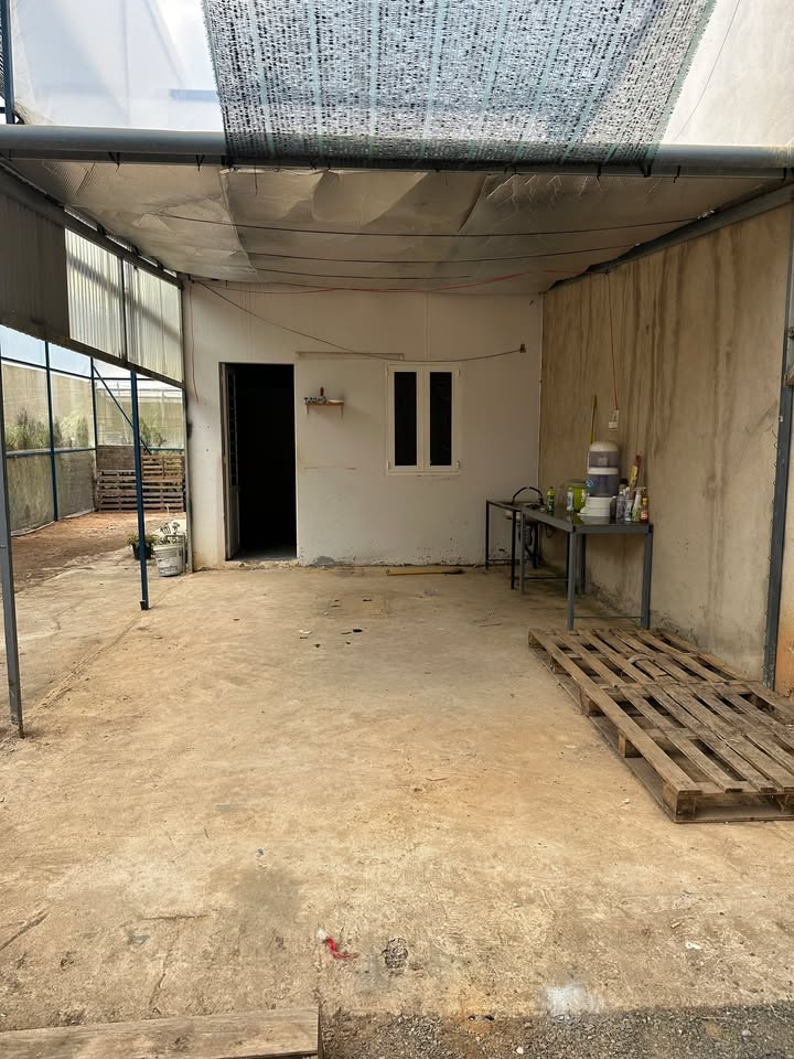 Phòng cho thuê tại Chân đèo Prenn, Đà Lạt - Diện tích 20m², giá chỉ 2 triệu/tháng!