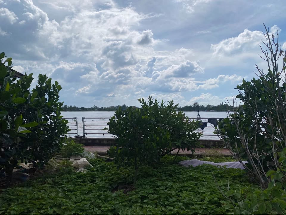 Đất nền Phong Mỹ, Cao Lãnh, 70m² giá 300 triệu - Sổ đỏ chính chủ, vị trí đắc địa!