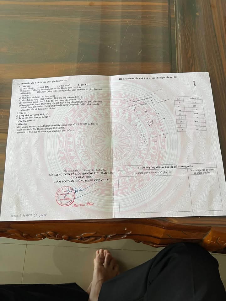 Nhà mặt tiền N2 Tân An 300m² giá thỏa thuận - Chính chủ cần bán gấp!