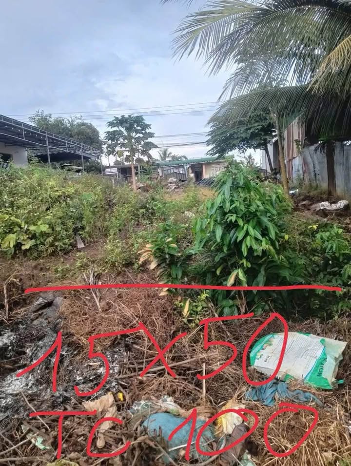 Đất thổ cư 751m² tại thôn 3, xã Ea M'nang, Cư M'gar - Giá chỉ 195.26 tỷ, đầu tư sinh lời!