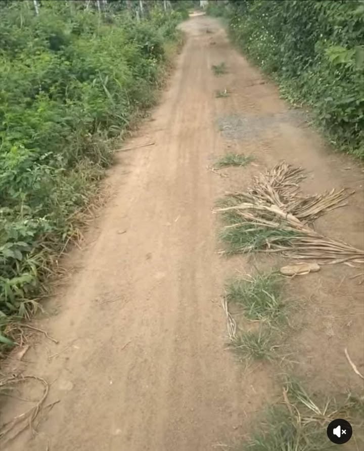 Đất nền Tân Tiến Krông Pắc 400m² giá 44 tỷ - Cơ hội đầu tư tuyệt vời!