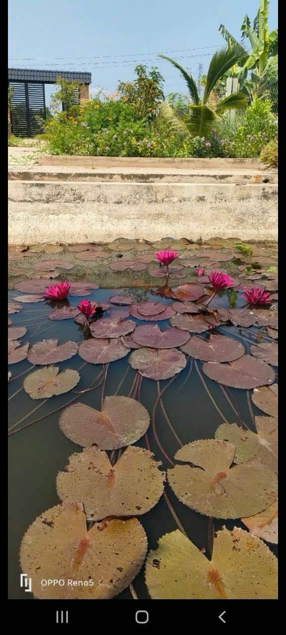 Xưởng 2 tầng mặt tiền đường Bình Mỹ, Củ Chi 316m² giá 12 tỷ - Đầu tư sinh lời tuyệt vời!