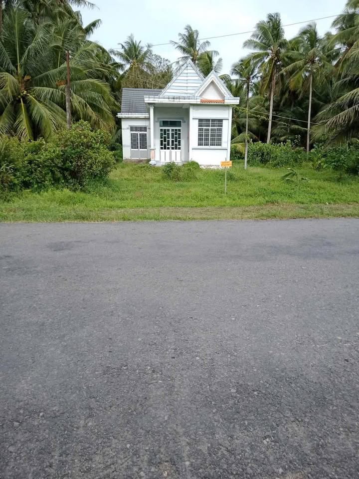 Đất mặt tiền đường Tỉnh 906, Hiếu Nhơn, Vũng Liêm 1266m² chỉ 3.1 tỷ - Đầu tư sinh lời ngay!