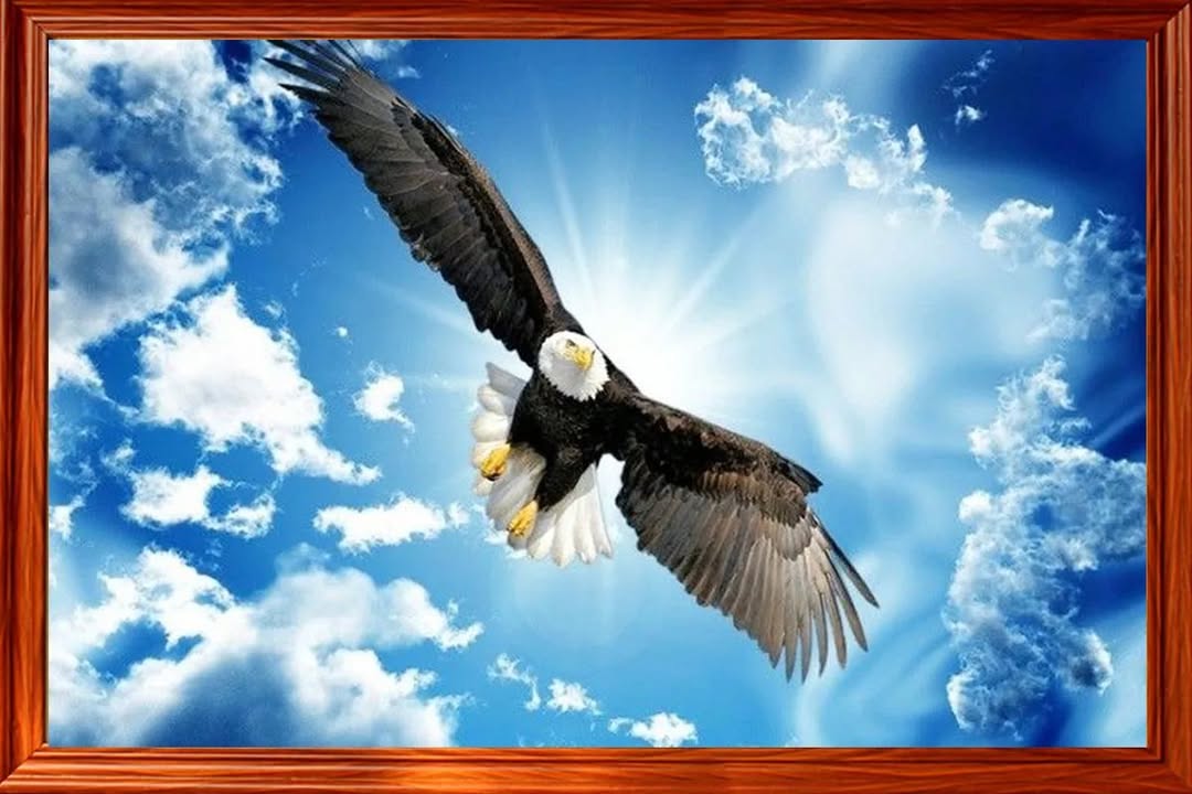 Đất nền Bò Sơn Từ Sơn, Bắc Ninh 81m² giá chỉ từ 9 tỷ - Cơ hội đầu tư tuyệt vời!