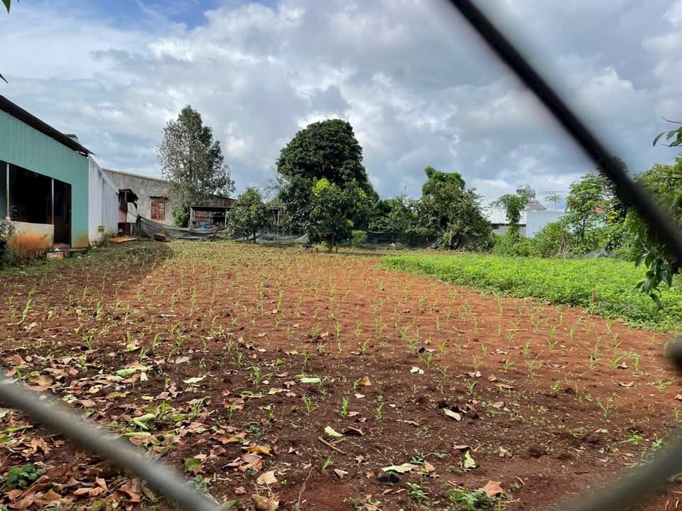 Đất nền đường Trương Định - Nguyễn Chí Thanh, Phường An Phú, Pleiku 150m² giá 600 triệu - Đầu tư sinh lời ngay!