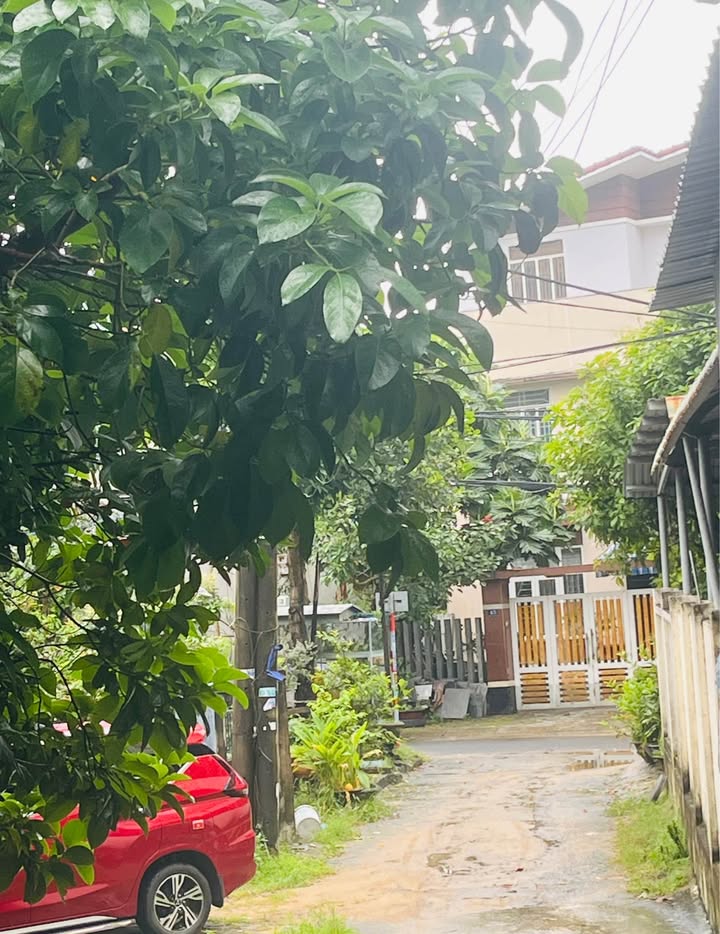 Đất nền Hòa Thọ Đông 130m² giá 3.39 tỷ - Đầu tư lý tưởng không thể bỏ lỡ!