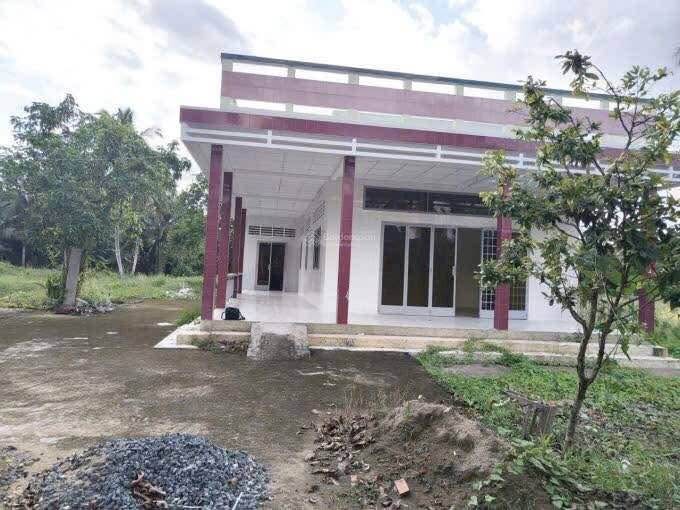 Đất vườn 16.000m² tại xã Tam Phước, Bến Tre - Nhà vườn 3PN, giá 16 tỷ - Tiềm năng đầu tư lớn!