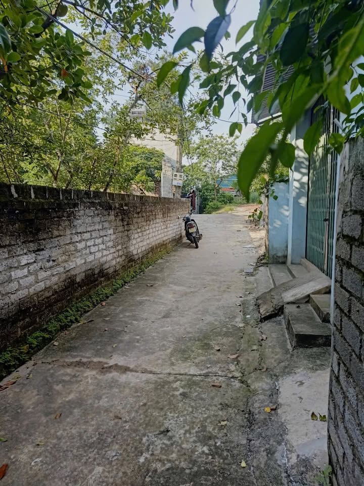 Đất nền Tân Dĩnh, Lạng Giang 113m² giá chỉ 600 triệu - Cơ hội đầu tư hấp dẫn!