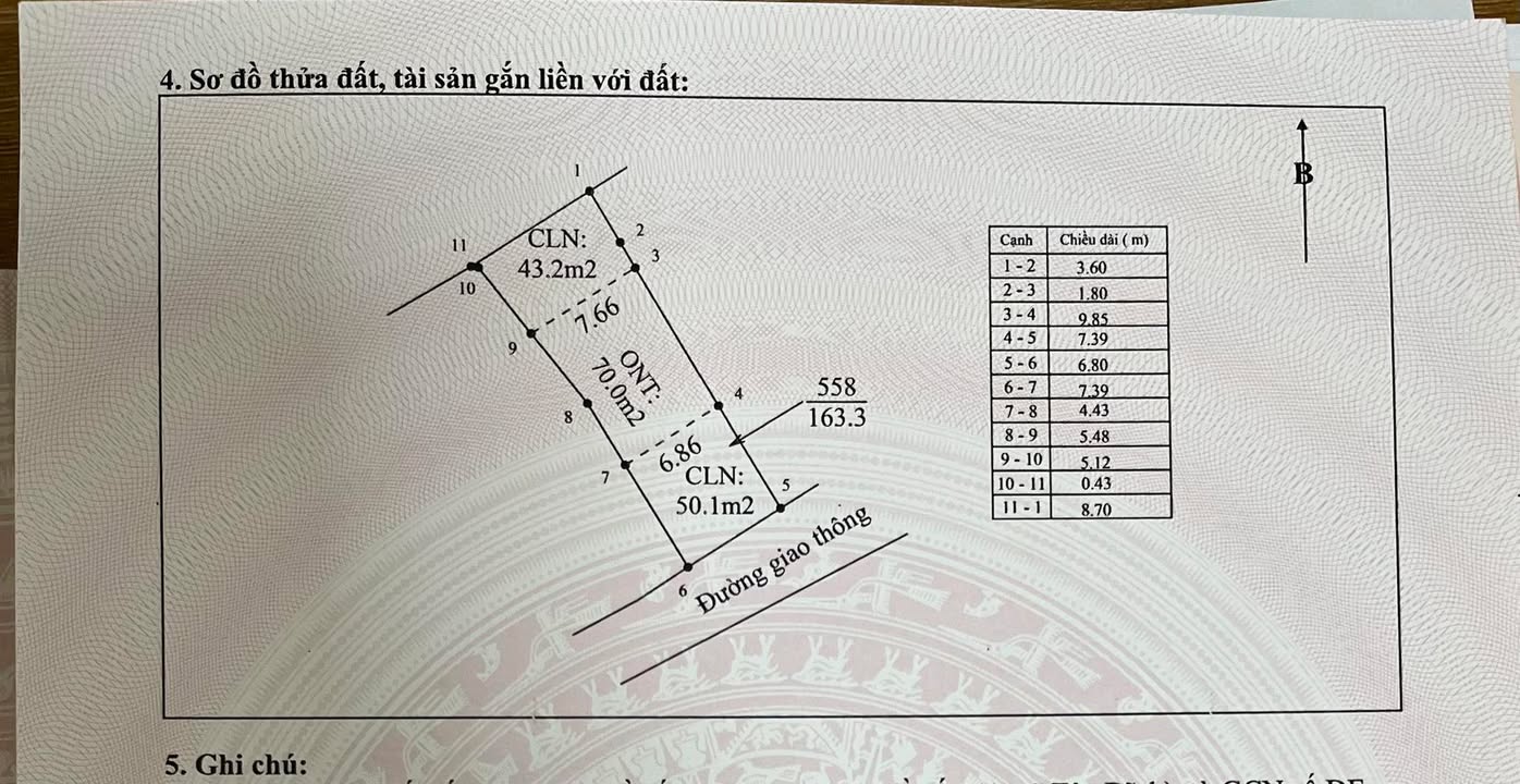 Đất nền Đại Lâm Lạng Giang 160m² chỉ 700 triệu - Cơ hội đầu tư hấp dẫn!