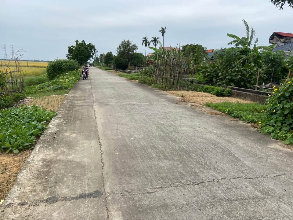 Đất thổ cư 100m² tại thôn Phú Dưới, Lương Tài - Giá 1.5 tỷ, Sổ đỏ chính chủ!