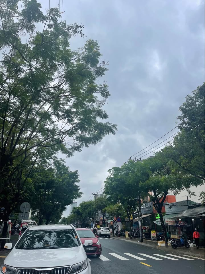 Đất mặt tiền Lê Thanh Nghị 115m² giá 1.725 tỷ - Vị trí kinh doanh lý tưởng!