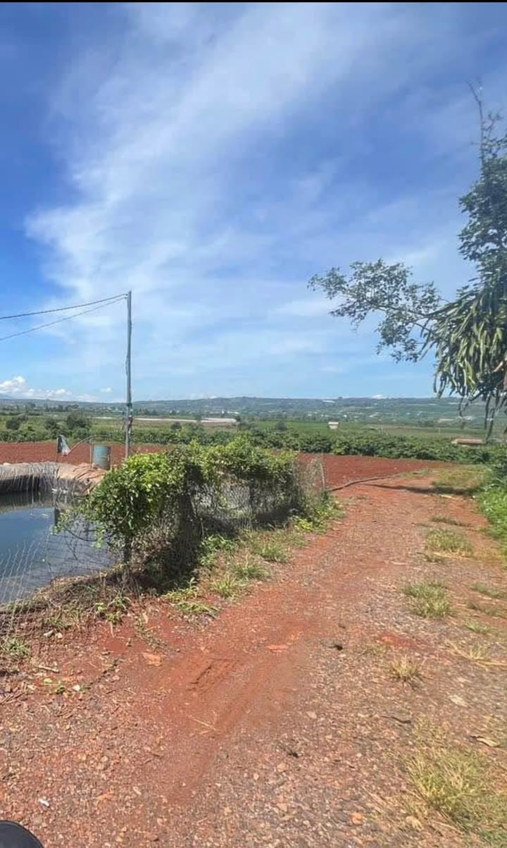 Đất nền Tân Hội - Lâm Đồng 5800m² giá 297 triệu - Cơ hội đầu tư hiếm có!