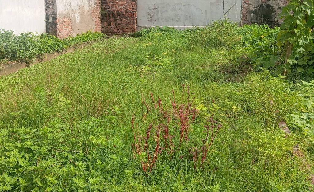 Đất nền Nguyên Khê, Đông Anh 81m² giá 5 tỷ - Đầu tư sinh lời mạnh mẽ!