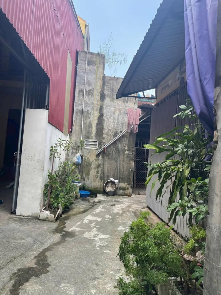 Đất Làng Nghề Đỗ Xá Vạn Điểm 80,4m² giá 1,6 tỷ - Tiềm năng phát triển vượt trội!