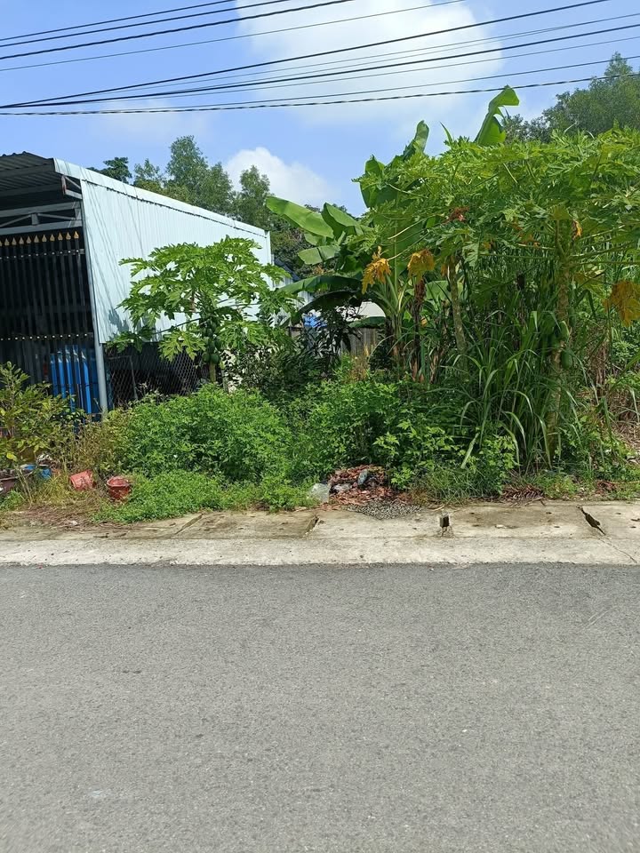 Đất nền An Tây Bến Cát 185m² giá 1.35 tỷ - Sổ đỏ chính chủ, bớt lộc!