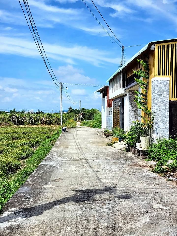 Đất nền Phong Nẫm, Phan Thiết 100m² giá 650 triệu - Nhanh tay sở hữu!