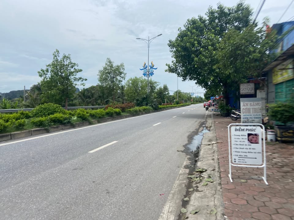 Đất nền thổ cư Bạch Đằng 175m² giá 1.2 tỷ - Tiềm năng đầu tư vượt trội!