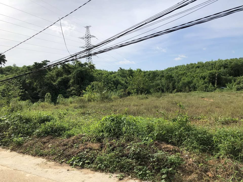 Đất nền chính chủ xã Ngọc Quan, Đoan Hùng 440m² - Gần nút giao cao tốc!