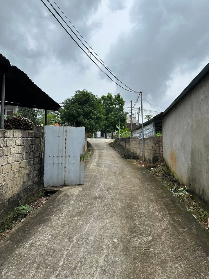 Đất thổ cư Việt Trì 93.4m² giá 1 tỷ - Đường nhựa Aphan, đầu tư sinh lời!