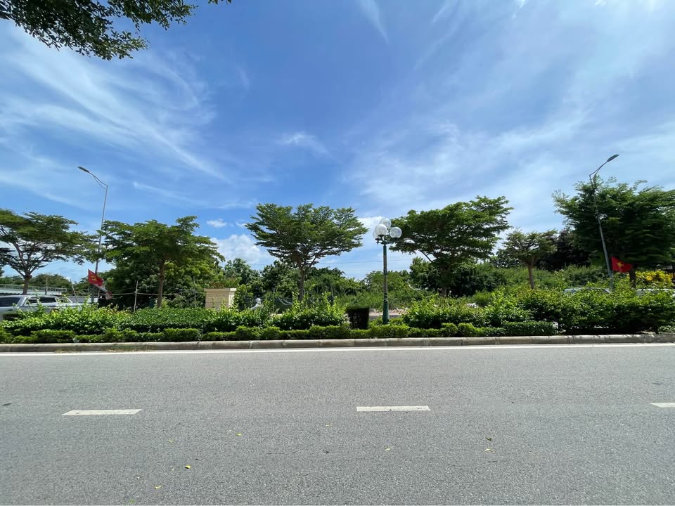 Đất mặt tiền đường Nguyễn Tri Phương, Phan Rang 202m² - Vị trí vàng trung tâm!