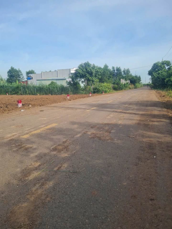 Đất thổ cư 80m² tại Long Tân, Đất Đỏ 793m² - Đầu tư sinh lời cao!